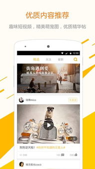 江南官方体育app