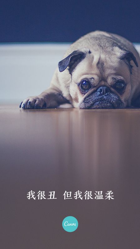 开云app官方下载安装