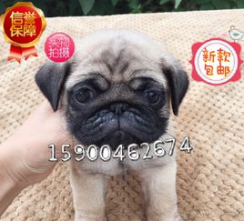 ky官网体育app