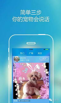 kaiyun体育app官方版手机